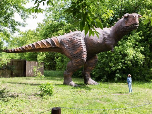 проведение дня рождения